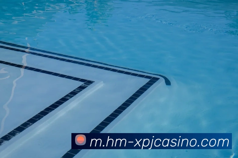 澳门新葡京娱乐平台生态图